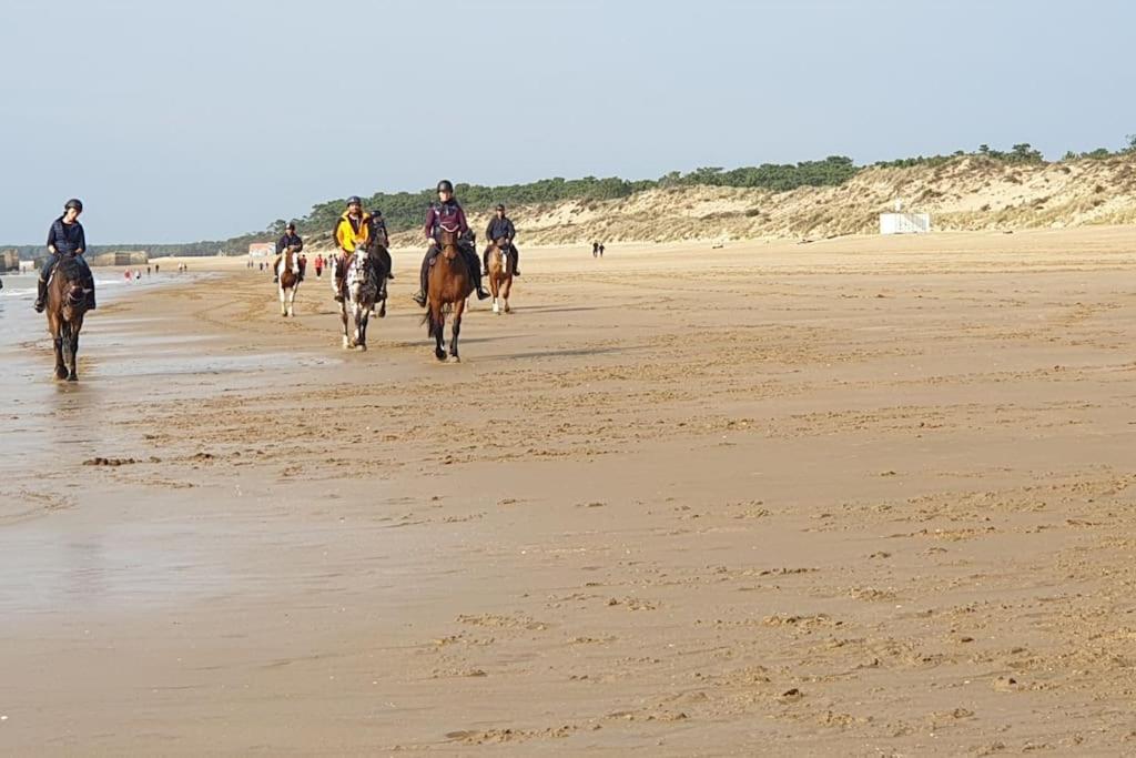 Apartment A 1km Des Plages Avec 2 Velos Elec